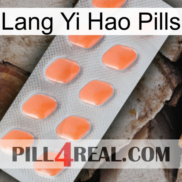 Lang Yi Hao Pills 26